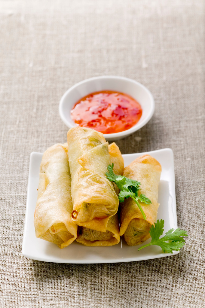 Fried Spring Rolls on a White Plate